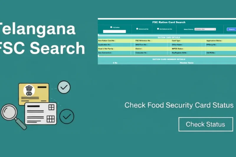 FSC Application Search: A Complete Guide: A Complete Guide