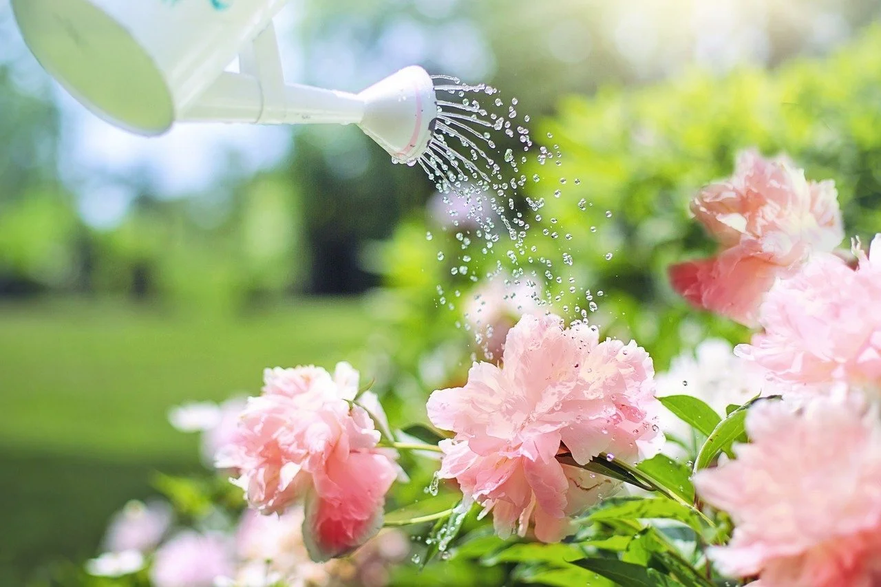 Fresh Water for Flowers